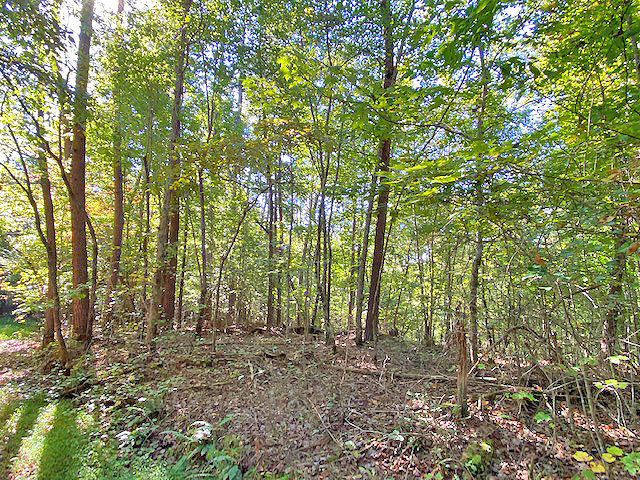 cheap Lumpkin County land for sale